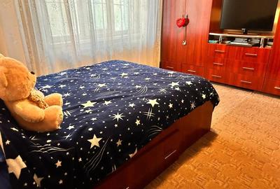 Apartament cu 3 camere decomandat în Brazda lui Novac - 3