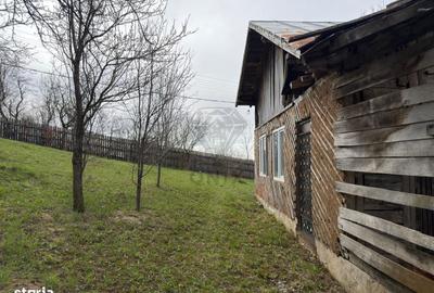 Spațiu comercial, în Șotrile - 7