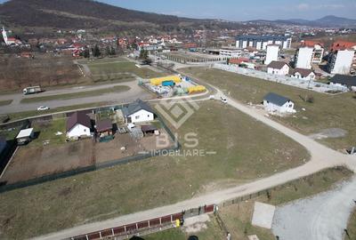 Teren Construcții intravilan de 1400 mp, în Viișoara - 4