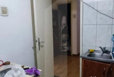 Apartament cu 2 camere decomandat în Giurgiului - 2