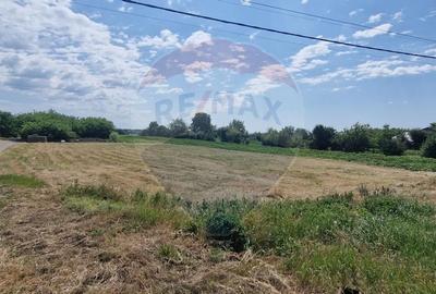 Teren Construcții intravilan de 28662 mp, în Onișcani - 3