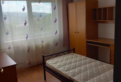 Apartament cu 2 camere decomandat în Ostroveni - 6
