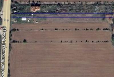 Teren de 2500 mp, în Potigrafu - 1