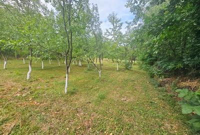 Teren intravilan, cu priveliște spre pădure – Vălenii de Munte - 8