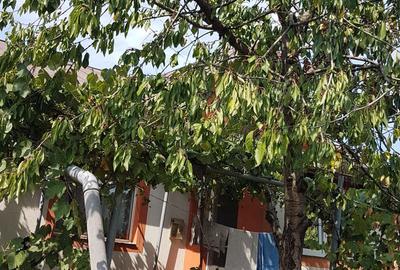 Casă cu 3 camere cu Teren 700 Mp în Lazu - 6