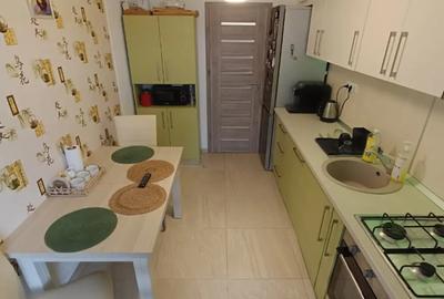 Apartament cu 2 camere decomandat în Turnișor - 7