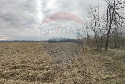 Teren de 12193 mp, în Jena - 3