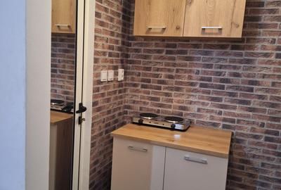 Soarelui-aproape de Sud Plaza - 10