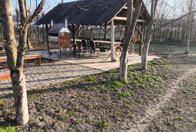 Casă cu Teren 15136 Mp în Central - 1