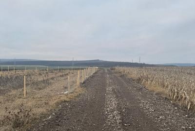 Teren cristur hunedoara parcele 500, 1000, 1500 mp - 8