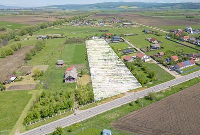 Teren Construcții intravilan de 9758 mp, în Bod - 2