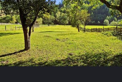 Teren intravilan + extravilan 33300 mp Tulghes Harghita pret 125000 euro - 2