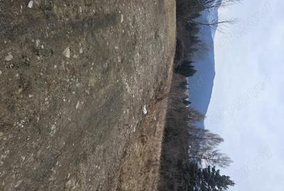 Teren de 2000 mp, în Hangu - 1