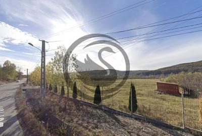 Teren de 26908 mp, în Iedera - 9