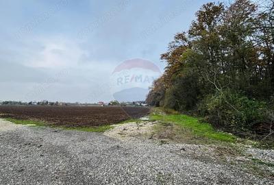 Teren de 2000 mp, în Ciolpani - 1