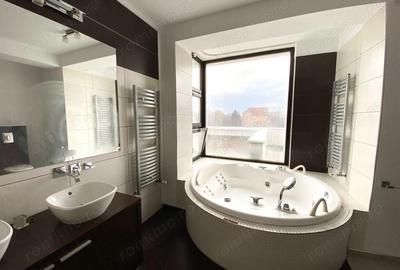 Oportunitate de afacere: spa?iu de inchiriat 650 mp in Arad - 3