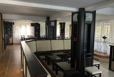 Pensiune în Crișan - Afacere turistică complet funcțională în Delta Dunării - 6