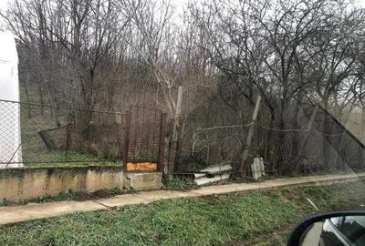 Teren de 3478 mp, în Viișoara - 3