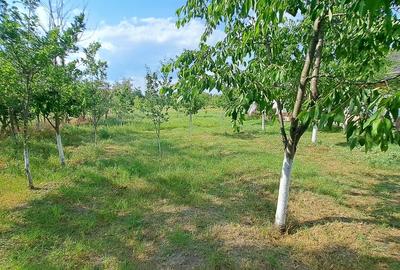 Giurgiu Loc de casa la 27 km de Bucuresti, 1265mp - 8
