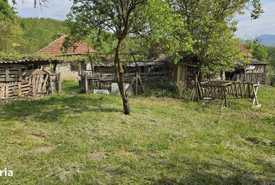 Casă cu 3 camere în Bejan - 2