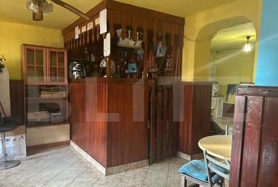 Casa de vzanzare, 240 mp, Zona Botizului - 26