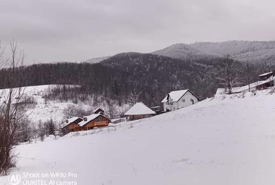 Teren de 1000 mp, în Cacica - 2