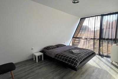 Casă cu Teren 12000 Mp în Râșca - 6