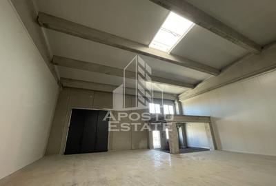 Spațiu industrial, de 523 mp, în Sânandrei - 2