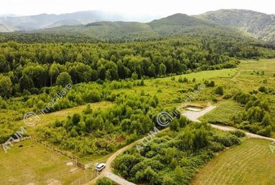 Teren intravilan 3900 mp Porumbacu de Sus, Sibiu - 14