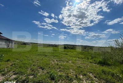 Spațiu comercial, în Priseaca - 4
