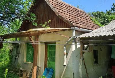 Casa de vanzare Diosig - 2