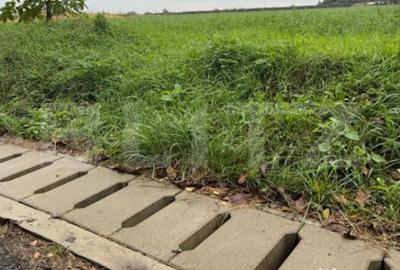 Teren de 1213 mp, în Central - 3