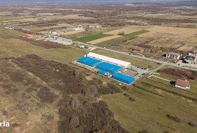 Spațiu comercial, în Iabalcea - 9