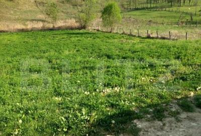 Teren intravilan/extravilan - 7