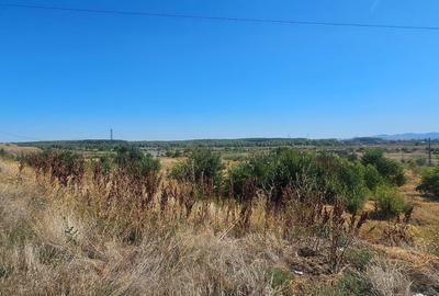 Teren intravilan 14.168 mp – pozitie excelenta la intrarea in Braila - 7