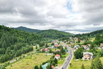 Teren Construcții intravilan de 9000 mp, în Malul Ursului - 24