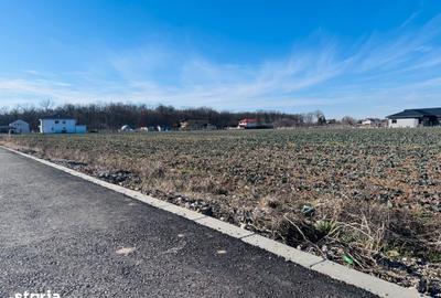 Teren de 1600 mp, în Snagov