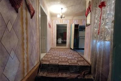 Casă cu Teren 40 Mp în Bogodinț - 10