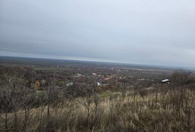 Teren vanzare Dara, Pietroasele - 2