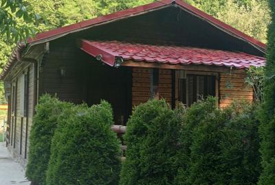 Casă cu 2 camere în Băița - 3
