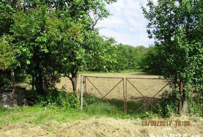 Teren de 1270 mp, în Drajna - 3