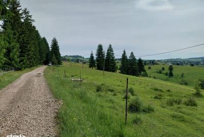 Teren de 10450 mp, în Tiha Bârgăului - 3