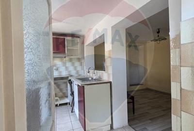 Casa / Vila de vanzare in Medias, str. Ghioceilor - 19