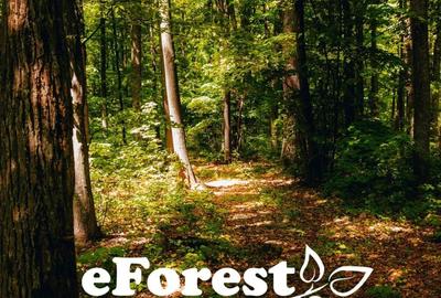 Teren premium, intre doua paduri, acces asfaltat din DN1A, vizitati eForest! - 5