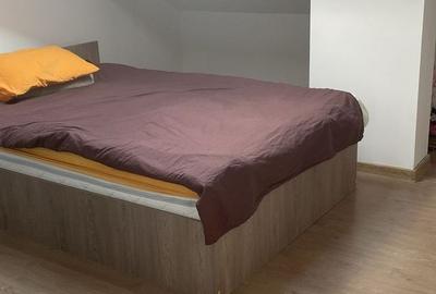Apartament cu 3 camere, mobilat în Cetate - 2