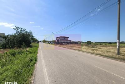 Teren de 1167 mp, în Cernica - 16