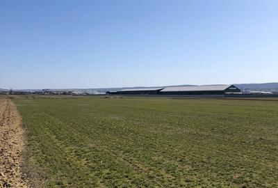 Teren extravilan de 4000 mp, în Mărăcineni - 5