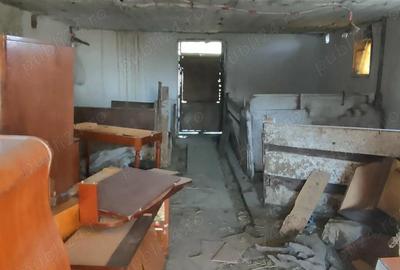 Casă cu 3 camere în Parța - 10