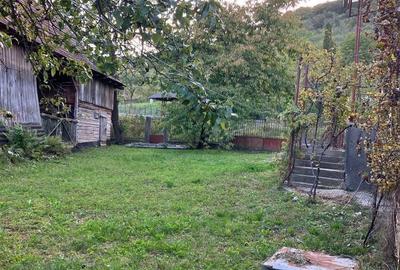 Casă cu 3 camere în Moldovenești - 8