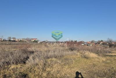 Teren Corbeanca - Tamasi - 1.163 mp - 9